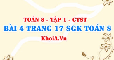 Bài 4 trang 17 SGK Toán 8 Tập 1 Chân trời sáng tạo